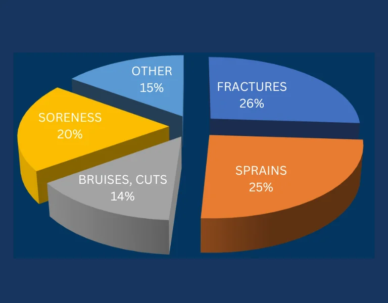 pie chart with some words on it