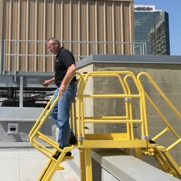 Roof Top Alternating Tread Stair Parapet Corssover